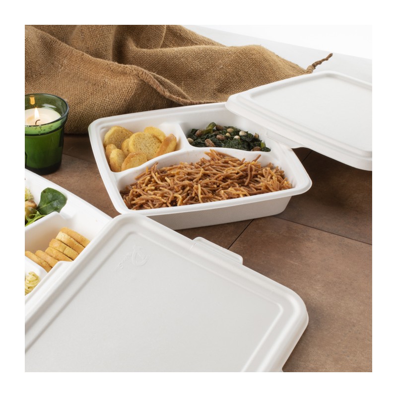 Caja de embalaje de bagazo de tres compartimentos - Caja de almuerzo de  bagazo de tres compartimentos, caja de comida desechable de caña de azúcar  de tres compartimentos